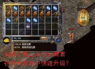 ����õ�����7266�����ڴ�����Ϸ�п���������