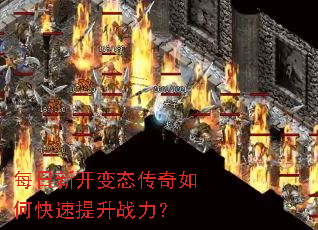 ÿ���¿���̬������ο�������ս����