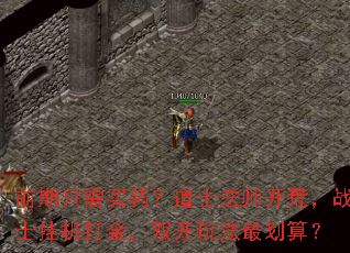 ǰ��ֻ����ҩ����ʿ��ʦ���ģ�սʿ�һ����˫���淨��㣿