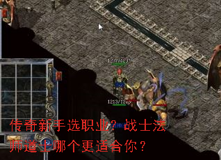 ��������ѡְҵ��սʿ��ʦ��ʿ�ĸ����ʺ��㣿