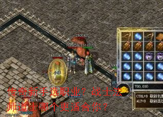 ��������ѡְҵ��սʿ��ʦ��ʿ�ĸ����ʺ��㣿
