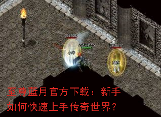 �������¹ٷ����أ�������ο������ִ������磿