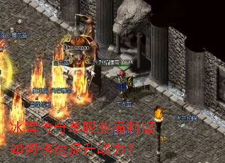 ��ѩ���浥ְҵ��������ο�������ս����