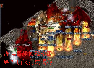 魔鸡兽如何轻松击败?顶级打法揭秘 魔鸡兽如何轻松击败?顶级打法揭秘