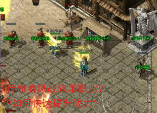 ���洺��ս�ǵ�ְҵVIP��ο�������ս����
