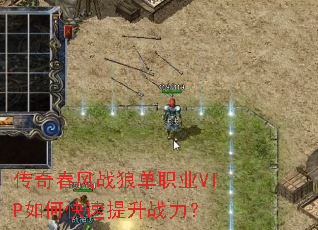 ���洺��ս�ǵ�ְҵVIP��ο�������ս����