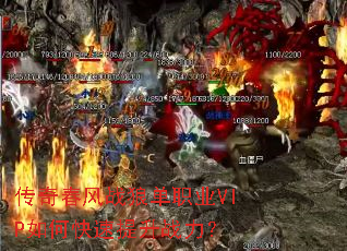 ���洺��ս�ǵ�ְҵVIP��ο�������ս����