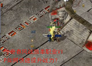 ���洺��ս�ǵ�ְҵVIP��ο�������ս����
