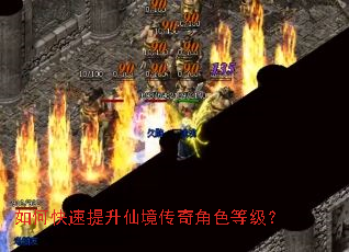 如何快速提升仙境传奇角色等级? 如何快速提升仙境传奇角色等级?