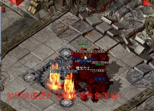 如何快速提升仙境传奇角色等级? 如何快速提升仙境传奇角色等级?