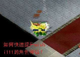 如何快速提升mishi111的角色等级? 如何快速提升mishi111的角色等级?