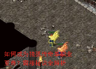 如何成为独孤传奇单职业至尊?霸服秘诀全解析 如何成为独孤传奇单职业至尊?霸服秘诀全解析
