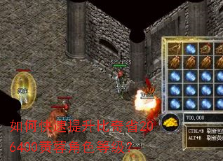 如何快速提升比奇省206400黄蓉角色等级? 如何快速提升比奇省206400黄蓉角色等级?