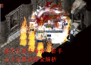 ��ʧ�ڸ��Ŵ��棿�������ֱؿ�����ȫ����