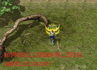 如何挑战江湖豪侠塚三层5854郭靖302300249? 如何挑战江湖豪侠塚三层5854郭靖302300249?