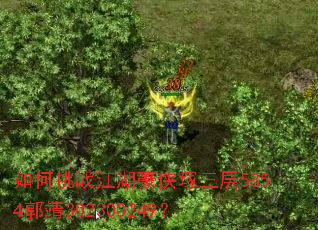 如何挑战江湖豪侠塚三层5854郭靖302300249? 如何挑战江湖豪侠塚三层5854郭靖302300249?