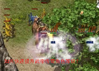 如何快速提升武帝传奇角色等级? 如何快速提升武帝传奇角色等级?