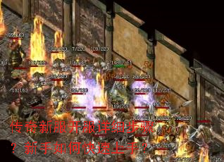 传奇新服开服详细步骤?新手如何快速上手? 传奇新服开服详细步骤?新手如何快速上手?