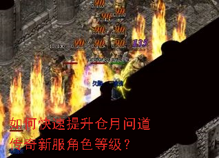 如何快速提升仓月问道传奇新服角色等级? 如何快速提升仓月问道传奇新服角色等级?