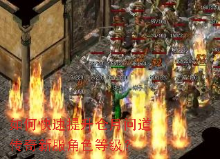如何快速提升仓月问道传奇新服角色等级? 如何快速提升仓月问道传奇新服角色等级?
