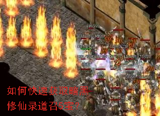 如何快速获取暗黑修仙录道召5宝? 如何快速获取暗黑修仙录道召5宝?