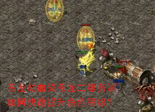 苍龙劫血染苍龙二服务端如何快速提升角色等级? 苍龙劫血染苍龙二服务端如何快速提升角色等级?