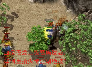 血染苍龙二级密码遗忘,如何重拾失传江湖绝技? 血染苍龙二级密码遗忘,如何重拾失传江湖绝技?