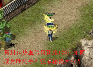 真封神热血传奇新服123:如何成为PK高手?独家秘籍大公开 真封神热血传奇新服123:如何成为PK高手?独家秘籍大公开