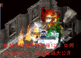 真封神热血传奇新服123:如何成为PK高手?独家秘籍大公开 真封神热血传奇新服123:如何成为PK高手?独家秘籍大公开