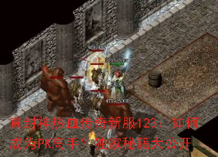 真封神热血传奇新服123:如何成为PK高手?独家秘籍大公开 真封神热血传奇新服123:如何成为PK高手?独家秘籍大公开