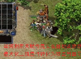 如何利用天赋专属装备自动鉴定功能,最大化三维属性转化为攻击与血量? 如何利用天赋专属装备自动鉴定功能,最大化三维属性转化为攻击与血量?