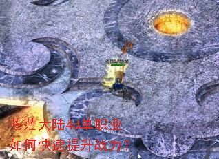 ��ã��½4d��ְҵ��ο�������ս����