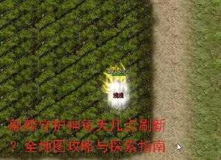麒麟守护神每天几点刷新?全地图攻略与探索指南 麒麟守护神每天几点刷新?全地图攻略与探索指南