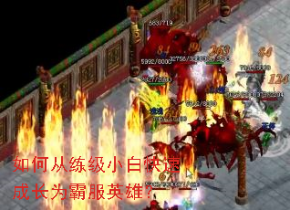 如何从练级小白快速成长为霸服英雄? 如何从练级小白快速成长为霸服英雄?