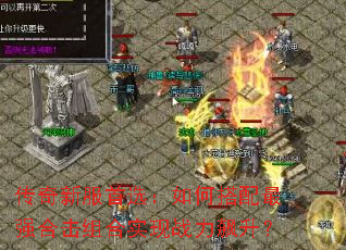 传奇新服首选:如何搭配最强合击组合实现战力飙升? 传奇新服首选:如何搭配最强合击组合实现战力飙升?