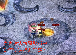 天天迷失传奇新服中如何快速提升等级? 天天迷失传奇新服中如何快速提升等级?