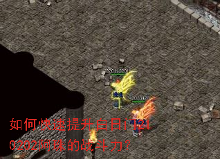 如何快速提升白日门210202阿珠的战斗力? 如何快速提升白日门210202阿珠的战斗力?