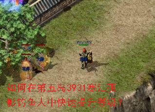 如何在第五岛3931寒江孤影钓鱼人中快速提升等级? 如何在第五岛3931寒江孤影钓鱼人中快速提升等级?