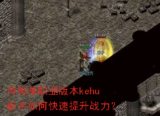 ���浥ְҵ�汾kehu������ο�������ս����