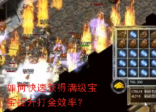 如何快速获得满级宝宝提升打金效率? 如何快速获得满级宝宝提升打金效率?