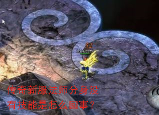传奇新服法师分身没有技能是怎么回事? 传奇新服法师分身没有技能是怎么回事?