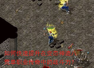 如何快速提升在变态神迹八荒单职业传奇中的战斗力? 如何快速提升在变态神迹八荒单职业传奇中的战斗力?