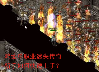 鸿蒙单职业迷失传奇新手如何快速上手? 鸿蒙单职业迷失传奇新手如何快速上手?