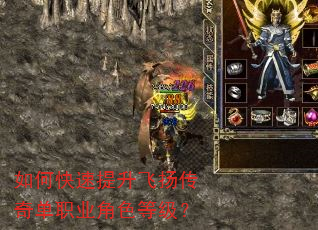 如何快速提升飞扬传奇单职业角色等级? 如何快速提升飞扬传奇单职业角色等级?