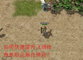 如何快速提升飞扬传奇单职业角色等级? 如何快速提升飞扬传奇单职业角色等级?