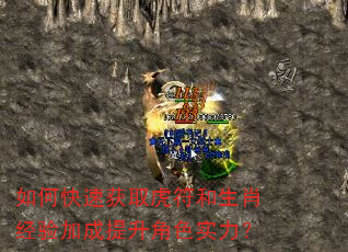 如何快速获取虎符和生肖经验加成提升角色实力? 如何快速获取虎符和生肖经验加成提升角色实力?