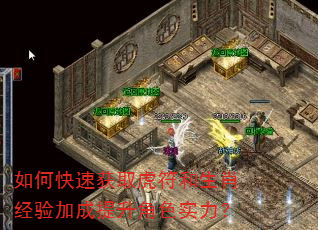 如何快速获取虎符和生肖经验加成提升角色实力? 如何快速获取虎符和生肖经验加成提升角色实力?