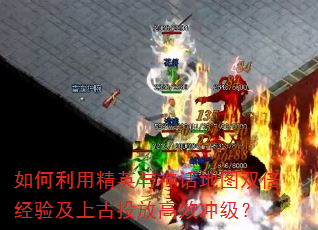 ������þ�Ӣ���񻰵�ͼ˫�����鼰�Ϲ�Ͷ�Ÿ�Ч�弶��