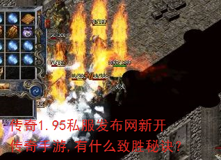 ����1.95˽���������¿���������,��ʲô��ʤ�ؾ���