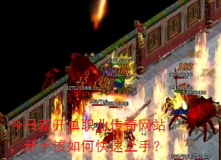 �����¿���ְҵ������վ�����ָ���ο������֣�